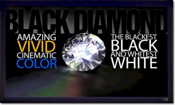Image of Screen Innovations Black Diamond II HD 1.4 'Daylight' ALR 88" Screen For sale at iDreamAV