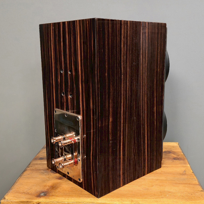 Perlisten S4b for sale - image 1