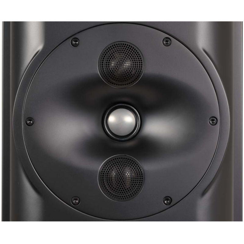 Perlisten S5T for sale - image 1